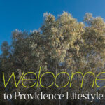 Welcome to Summer 2024/2025